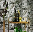Купить Обои Barbara Home Collection II 536812 в Rafi Decor