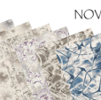 Cumpăra Covor Nova 200 x 290 Z463C ERC Cream la Rafi Decor