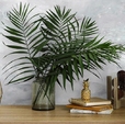 Купить Обои Golden 281266 в Rafi Decor