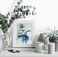 Купить Обои Horizont 889478 в Rafi Decor