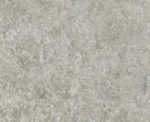 Купить Обои Trussardi2 5567 в Rafi Decor