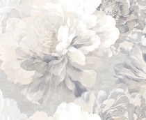 Купить Обои Kamilla 281757 в Rafi Decor
