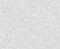 Купить Обои Alicante 989147 в Rafi Decor