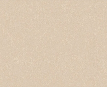 Купить Обои Sandro 889906 в Rafi Decor