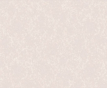 Купить Обои Sandro 889907 в Rafi Decor