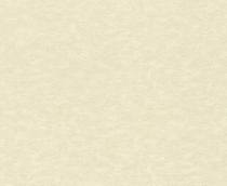 Купить Обои Filigrano 964813 в Rafi Decor