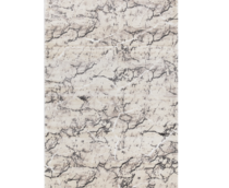 Cumpăra Covor Aysil 200 x 290 1680B_A1434 Grey la Rafi Decor