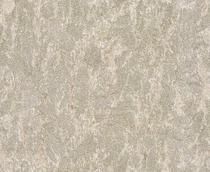 Cumpăra Tapete Trussardi Wall Decor3 Z3409 la Rafi Decor