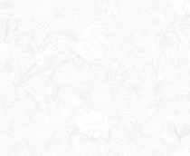 Купить Обои Tropicana 88851 в Rafi Decor