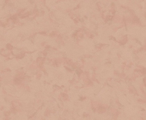 Купить Обои Black Orchid 9073-02 в Rafi Decor