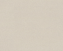 Купить Обои Fern 9194-03 в Rafi Decor