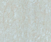 Cumpăra Tapete Trussardi Wall Decor3 Z3449 la Rafi Decor