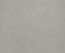 Купить Обои Felicita R23321 в Rafi Decor