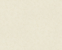 Купить Обой 38810-3 TP Perfect в Rafi Decor