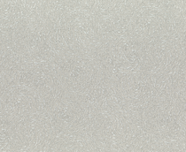 Купить Обои Varvara 920444 в Rafi Decor