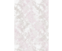 Cumpăra Covor Aysil 240 x 340 2820B_A1381 Pink/Bej la Rafi Decor