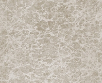 Купить Обои Trussardi2 5569 в Rafi Decor