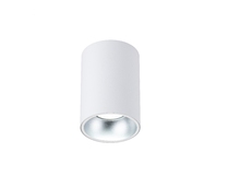 Cumpăra Spot iTech LP982-1C la Rafi Decor