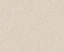 Купить Обои Tibet 171605 в Rafi Decor