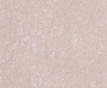 Cumpăra Tapete Trussardi Wall Decor3 Z3446 la Rafi Decor