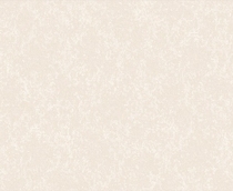 Купить Обои Sandro 889902 в Rafi Decor