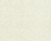 Купить Обои Maximum XV 832327 в Rafi Decor