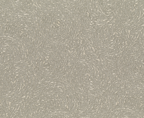 Купить Обои Varvara 920451 в Rafi Decor