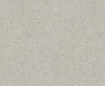 Cumpăra Tapet Concrete XL 974225 la Rafi Decor
