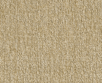 Cumpăra Tapet Regalis 2018 M1234 la Rafi Decor