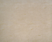 Купить Обои Felicita R23303 в Rafi Decor