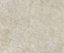Купить Обои Trussardi2 5570 в Rafi Decor