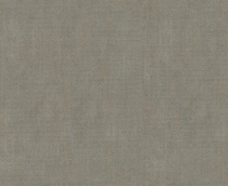 Купить Обои Pallazzo Terzi R22631 в Rafi Decor