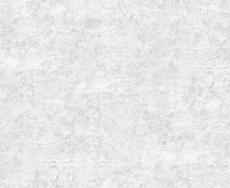 Купить Обои Sofia 889941 в Rafi Decor