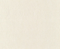 Купить Обои Poeme OM2102  в Rafi Decor