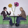 Купить Стикер 17012 Anemone в Rafi Decor