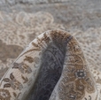 Cumpăra Covor Ascension TTD76B 160 x 230 Grey la Rafi Decor