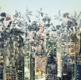 Купить Фотообои 8-979 Urban Jungle в Rafi Decor