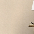 Купить Обой   973662 Tendencia  в Rafi Decor