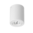 Cumpăra Spot Downlight Rondo FL801-1C la Rafi Decor