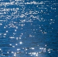 Cumpăra Fototapet 4-518 Stelle di Mare la Rafi Decor