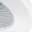 Cumpăra Plafoniera Fan FL595-D55 la Rafi Decor