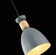 Cumpăra Suspensie Molin FL665-1P la Rafi Decor