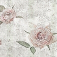 Купить Фотообои X8-049 Tantinet в Rafi Decor