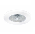 Cumpăra Plafoniera Fan FL595-D55 la Rafi Decor
