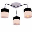 Cumpăra Lustra Hamburg FL513-3C la Rafi Decor