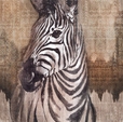 Купить Фотообои X4-1010 Zebra в Rafi Decor