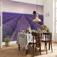 Купить Фотообои X8-036 Provence в Rafi Decor