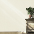 Купить Обои Barbara Home Collection II 536805 в Rafi Decor