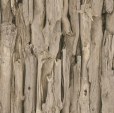 Купить Обои African Queen II 473216 в Rafi Decor