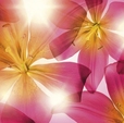Купить Фотообои 8-928 Summer Sun в Rafi Decor